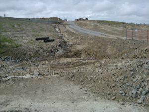 Photograph of exposed soil (JPG file, 646 KB). 