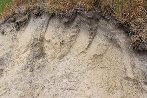 Photograph of soil layers (JPG file 2.64 MB).