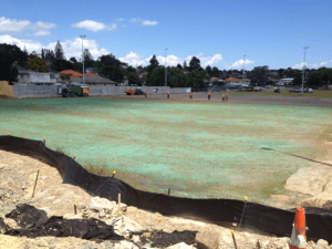 Photograph of sportsfield. 