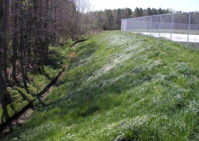 Compost and grassing