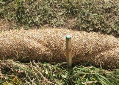 Photograph of straw sock.