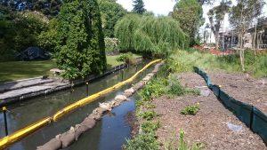 Photograph of stream bank. 