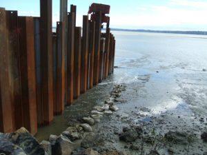 Photograph of sheet pile coffer dam. 