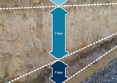 S-layer above the C-layer above the P-layer.