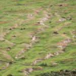 Photograph of gully erosion. 