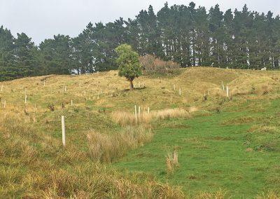 Erosion programme for Hurunui and Kaikōura