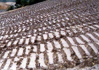 Surface roughening of a slope. The hollows act as ‘micro’ sediment traps.